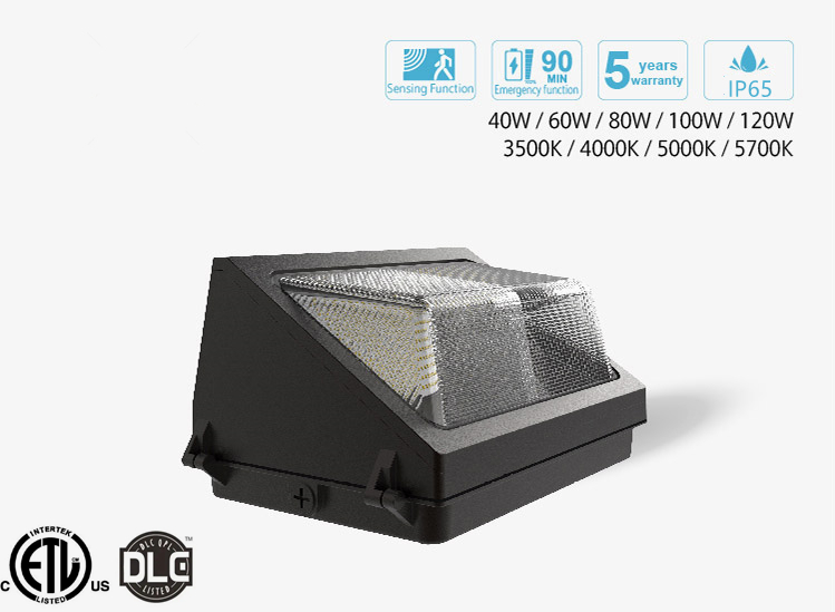 Factory price fixture 100w up and down outdoor lighting light led wall pack - Image 4