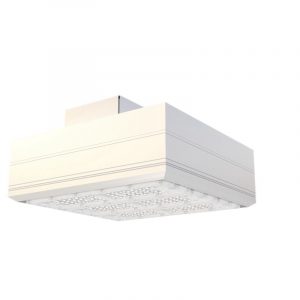 LED CANOPY LIGHT