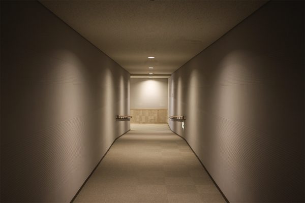 Fire Rated LED Downlight